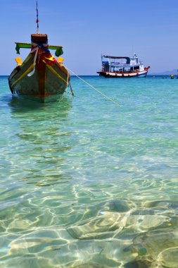 Tayland ve Güney Asya kho tao bay beyaz plaj 
