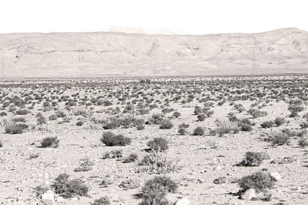 Dans la gorge todra marocain afrique et village — Photo