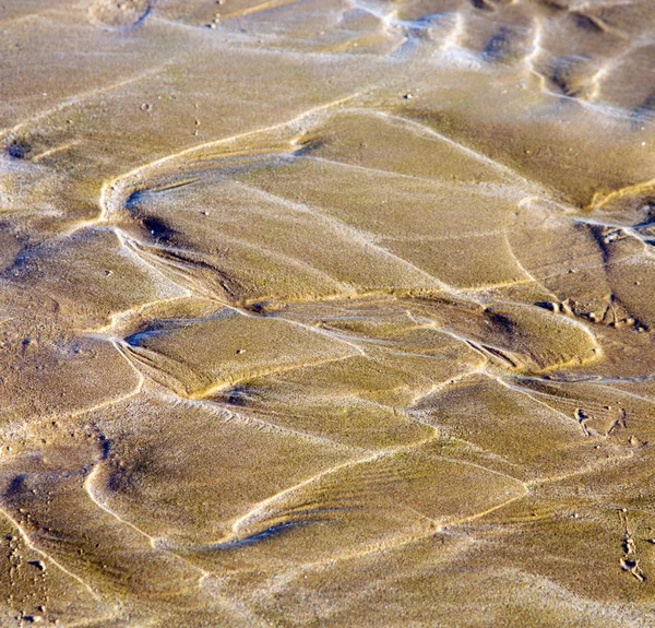 Dune morocco in africa brown coastline wet sand beach near atlan — Stock Photo, Image