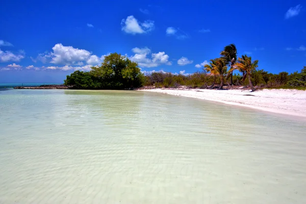 Und rock in der entspannten isla contoy mexiko — Stockfoto