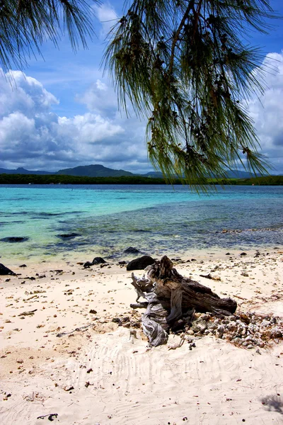 Indischer Ozean mauritius — Stockfoto