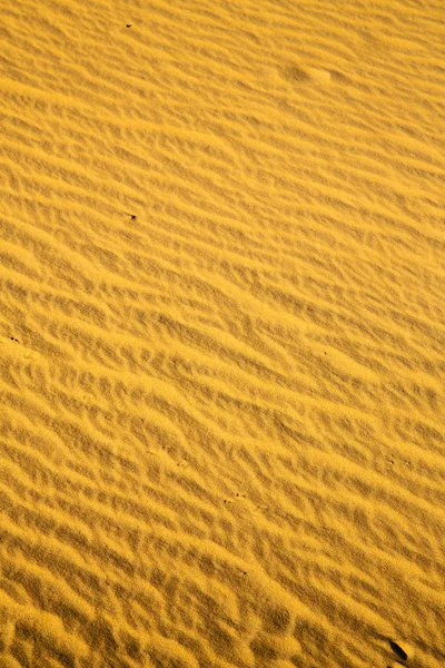 Brun sanddyn i sahara — Stockfoto