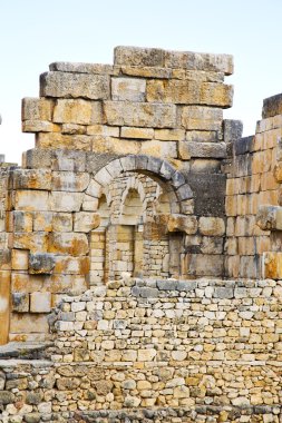 Volubilis Fas Afrika eski Roma bozulan anıt 