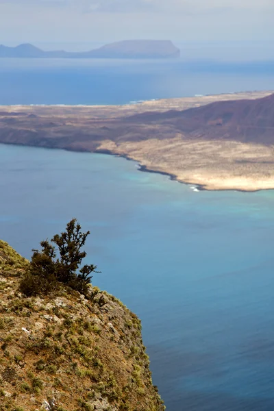 İspanya miramar del rio çiçek liman taş — Stok fotoğraf