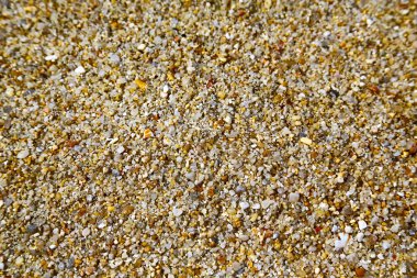   Asya taş doku Güney deniz soyut 