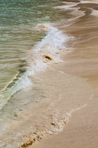 Mousse abstraite dans le littoral de la baie et la mer de Chine méridionale — Photo