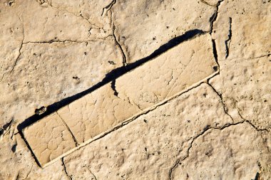 kahverengi kuru kum ahşap ve soyut