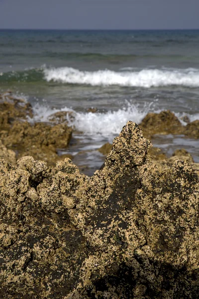 Lanzarote île mousse espagne paysage ciel eau — Photo