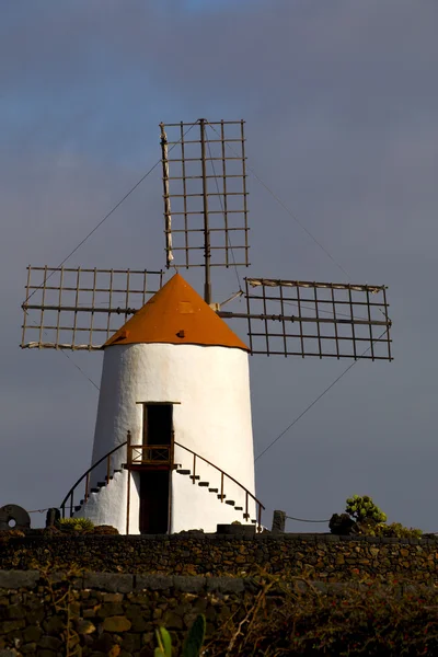 Cactus windmills in  isle   lanzarote — Stock Photo, Image