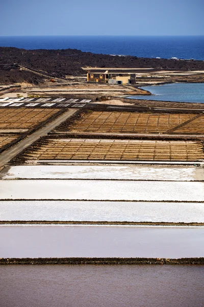 Teichwasser in Lanzarote Spanien Moschusstein Himmel Sommer — Stockfoto