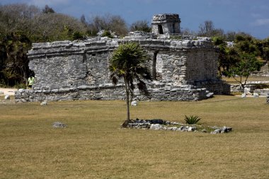   tulum Tapınağı Meksika Amerika'nın vahşi açı