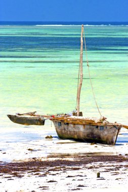Zanzibar plaj deniz yosunu Hint ve tekne