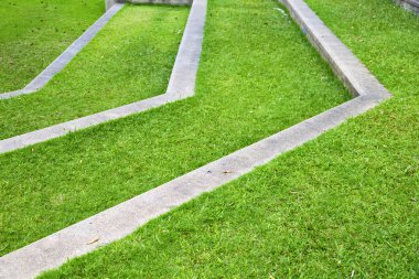 Tayland Asya soyut çapraz ciğeri Tapınağı bangkok  