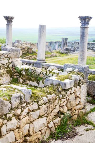 Volubilis in morocco africa the old roman deteriorated monument — Stock Photo, Image