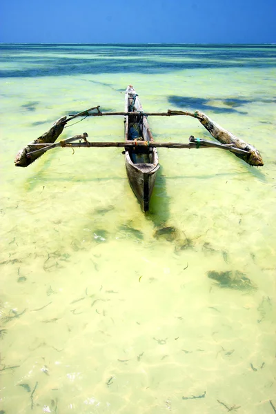 Zanzibar beach řas Indického oceánu zelená — Stock fotografie