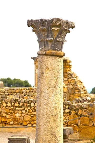 Volubilis i Marocko Afrika gamla romerska sliten monumentet — Stockfoto