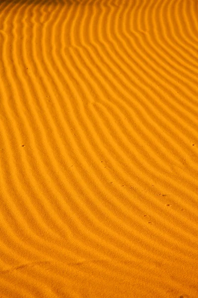 갈색 모래 사막 — 스톡 사진
