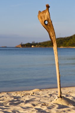 Asya gündoğumu kho plaj kayalar kamışı Güney Çin Denizi 