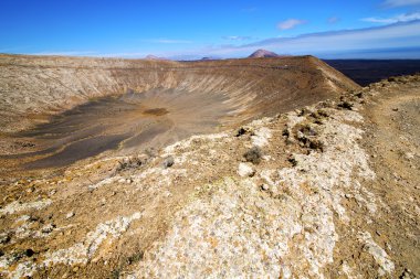 Atlantik çiçek bitki timanfaya  