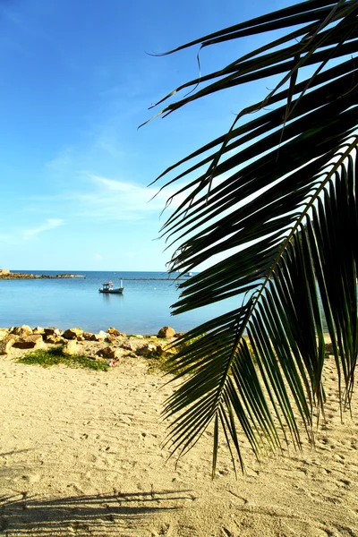 Asia nell'isola di Phangan spiaggia scogli piroghe palma mare — Foto Stock