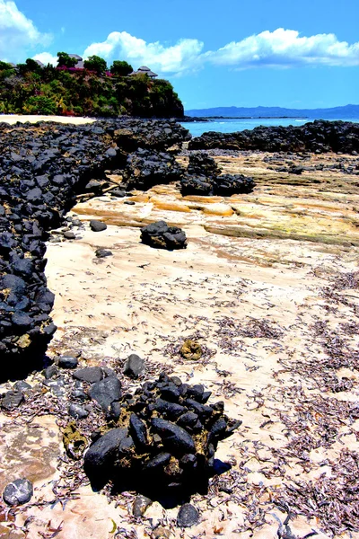 Andilana wodorostów indian ocean opoka — Zdjęcie stockowe