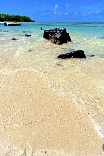 海滩桩杜塞夫海藻在印度船的天空和岩石 — 图库照片