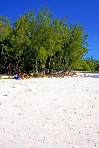 Beach ile du cerfs Algen Indianer Felsen — Stockfoto