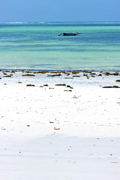 Zanzibar okyanus Tanzanya gökyüzü yelken plaj — Stok fotoğraf