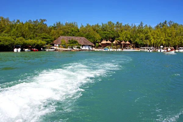 Playa ile casa de algas du cerfs y — Foto de Stock