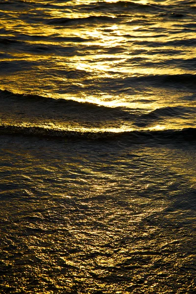 Тао залив золотого оранжевого цвета — стоковое фото