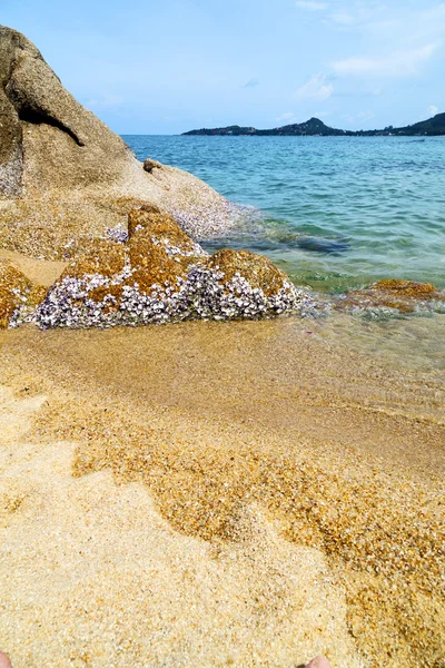 Kho samui bucht südchinesisches meer — Stockfoto