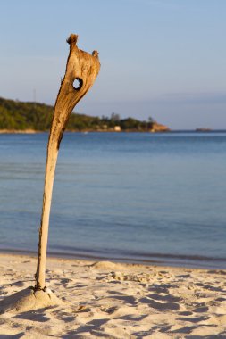 Asya gündoğumu kho defne Isle beach kamışı kayalar    