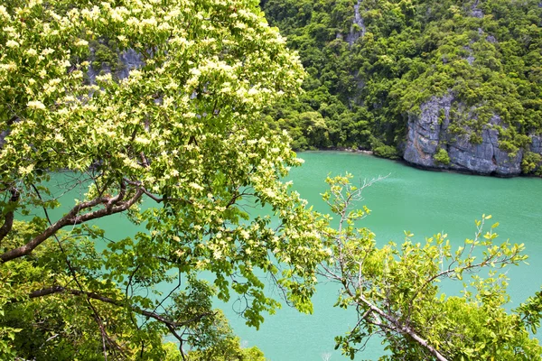 Kustlijn van groene Zuid-Chinese Zee thailand — Stockfoto