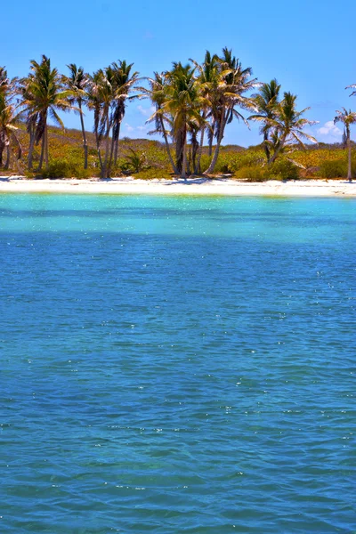 Küstenentspannung von isla contoy — Stockfoto