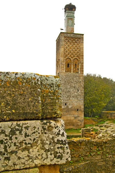Chellah en Marruecos África el viejo monumento romano deteriorado a — Foto de Stock