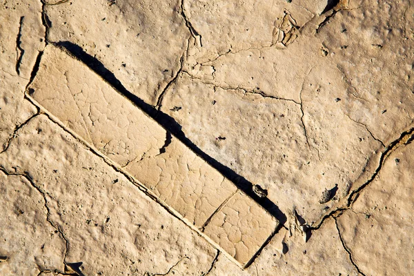 Arena seca marrón en madera de sahara abstracta — Foto de Stock