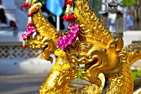 In the temple bangkok  abstract cross         wat  palaces — Stock Photo, Image