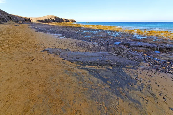 Белое побережье lanzarote в Испании и летом — стоковое фото