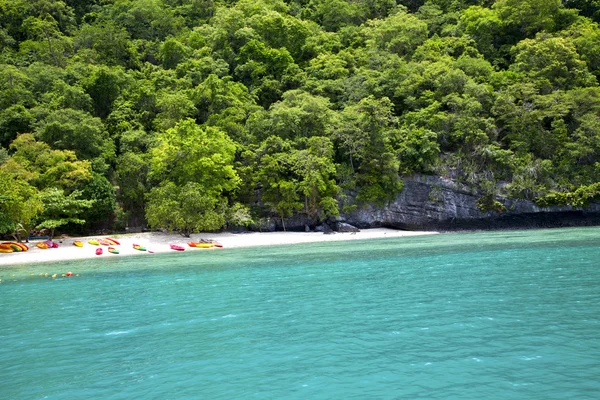 Boat coastline of a  green lagoon and   thailand kho — Stock Photo, Image