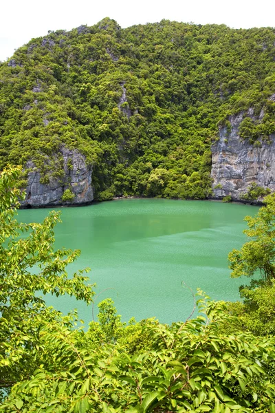 녹색 연못과만의 해안선 — 스톡 사진