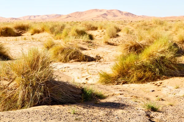 Montanha velho fóssil no deserto céu — Fotografia de Stock