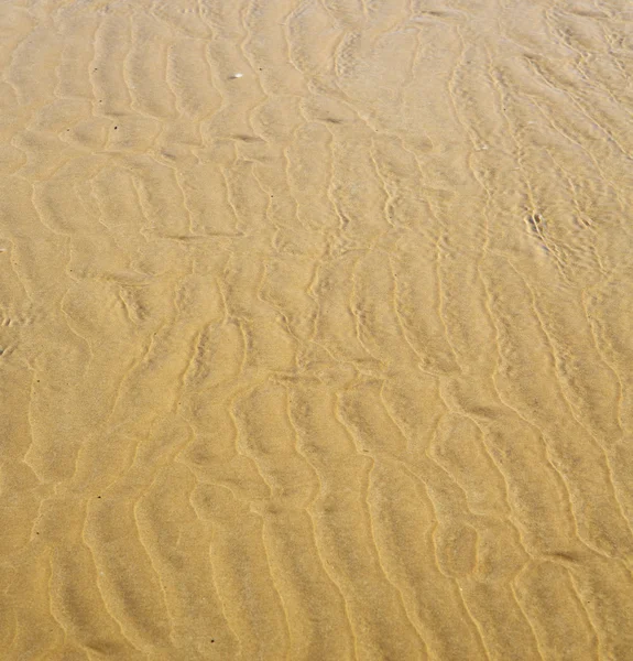 Morocco em áfrica costa marrom praia de areia molhada perto de atlântico o — Fotografia de Stock