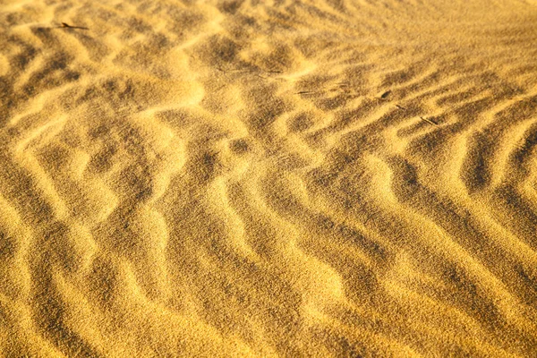 Afrika bruna i sahara linje — Stockfoto