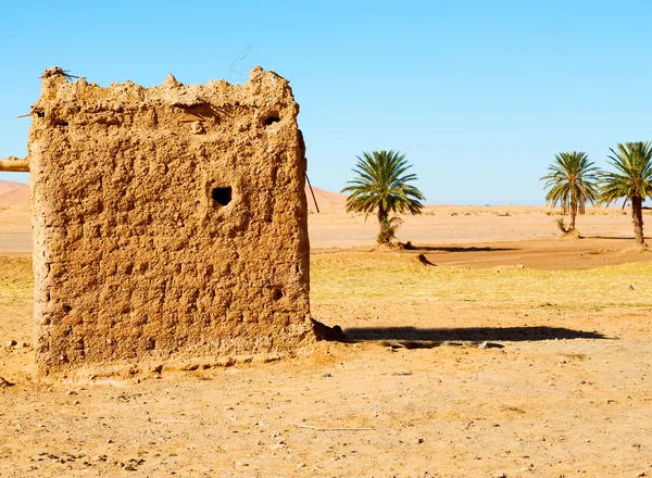 Sahara africa in marocco palm l'ancienne contruction et son — Photo