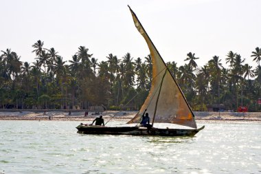 zanzibar Hint yelken Beach'de
