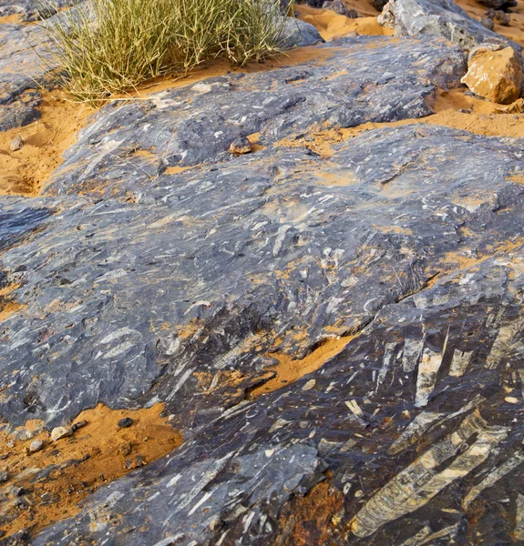 Viejo fósil en el desierto de morocco sahara y roca cielo de piedra —  Fotos de Stock