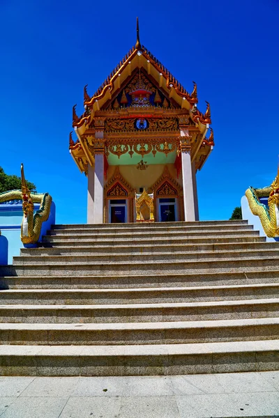 Kho samui bangkok in thailand incision step — Stock Photo, Image