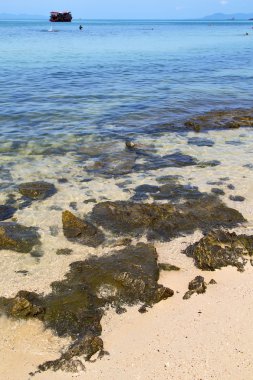   Asya'da bay koh ve Güney Çin Denizi  