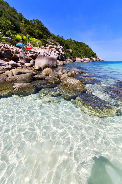 Azië in de baai kho tao eiland witte strand parasol — Stockfoto