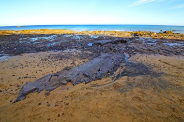 Beyaz lanzarote İspanya plaj taş su ve yaz 